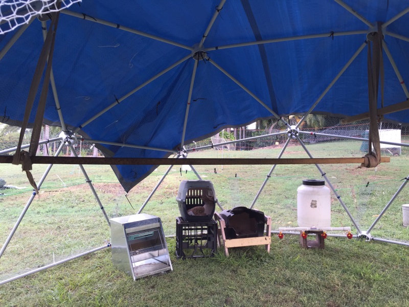 Inside the 4 Metre Dome